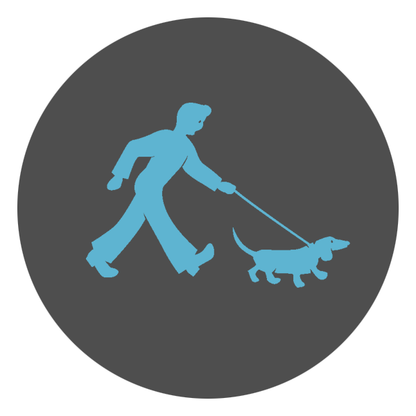 Tina's Dog Walking